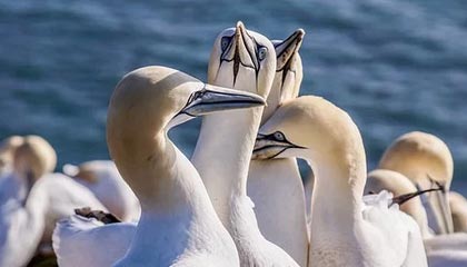 华体会登录入口-独家专访亚冠组委会负责人：帮助足球复活是种责任