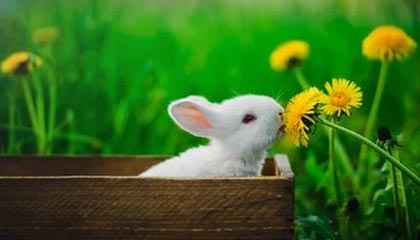 华体会登录入口-独家专访亚冠组委会负责人：帮助足球复活是种责任